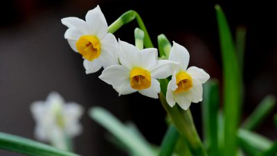 ​小气的人都有哪些表现（性格小气的人会有几个方面特征）