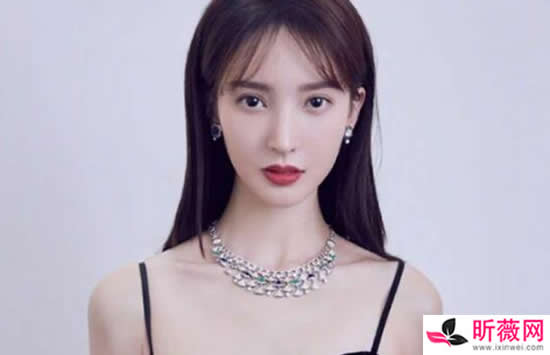 金晨演过的电视剧电影 怎么进入演艺圈的