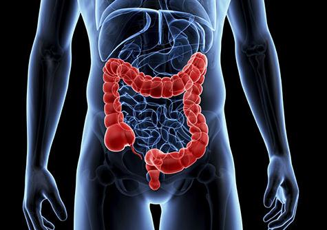 人体图五脏的位置图 五脏六腑的图片位置