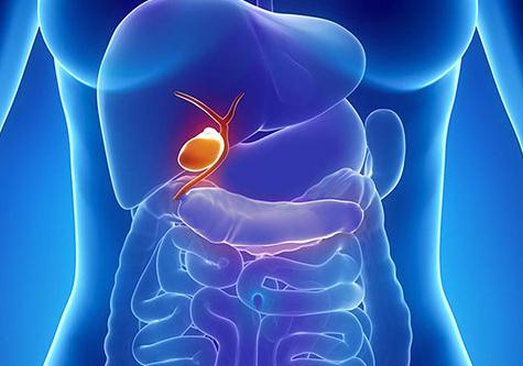 人体图五脏的位置图 五脏六腑的图片位置