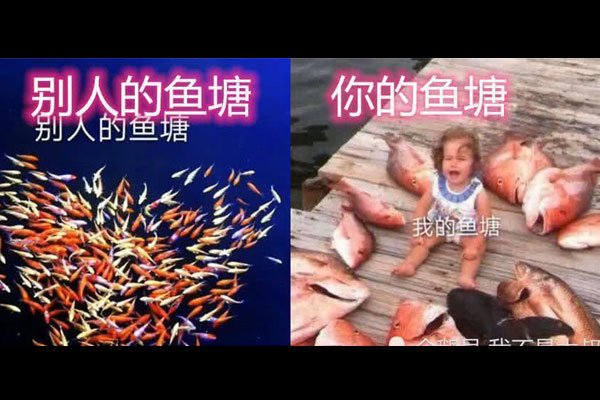 女生说养鱼塘啥意思怎么回复