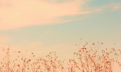 ​什么星座最有钱（公认的隐形富豪却保持低调的星座）