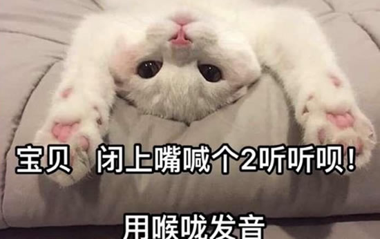 你可以闭嘴用喉咙说2吗 骗人娇喘的新套路