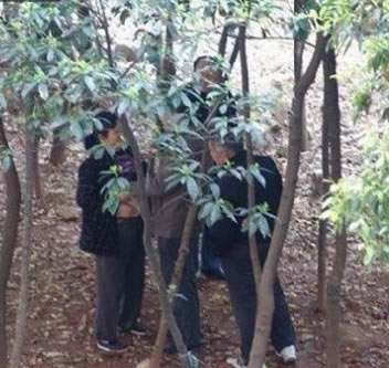 树林里老年妇女的肮脏交易 中老年妇女在树林卖