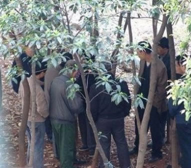 树林里老年妇女的肮脏交易 中老年妇女在树林卖