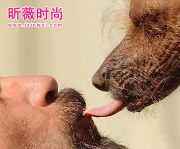 ​让人感到恶心的图片 恐怖恶心图片一秒吓死人