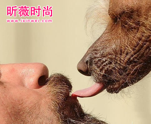 让人感到恶心的图片 恐怖恶心图片一秒吓死人