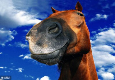 ​为什么暑假比寒假长（为什么暑假一定比寒假长）