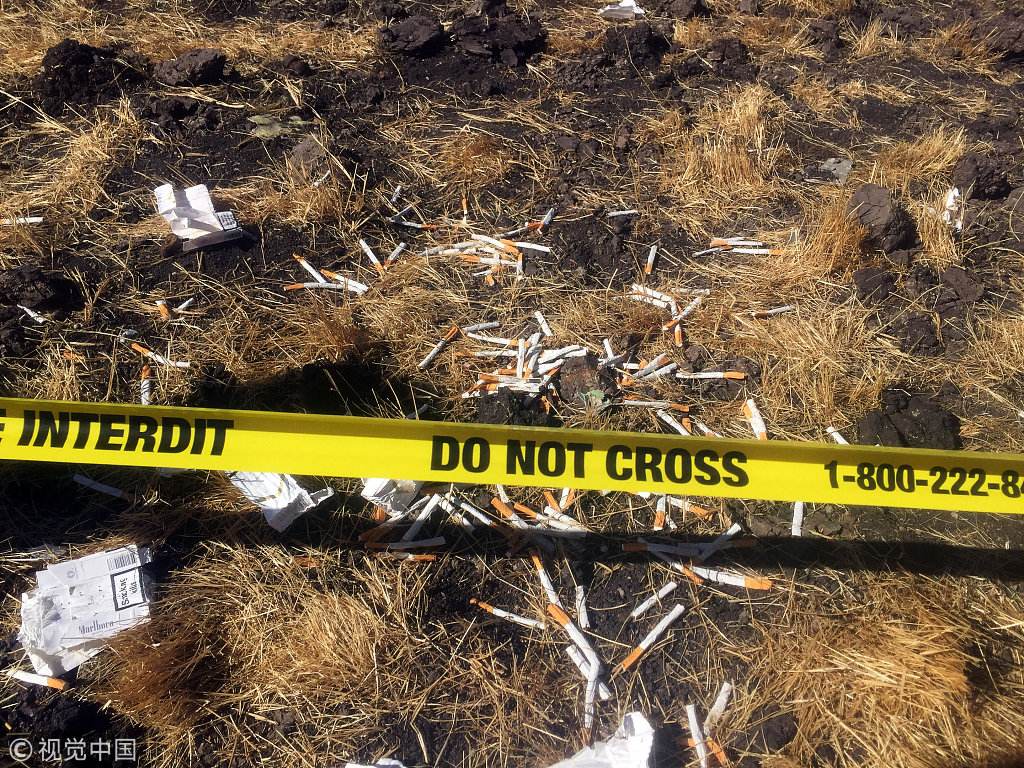 埃航坠毁客机黑匣子还原坠机最后时刻 埃航坠机原因调查最新进展