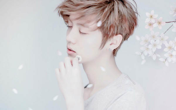 鹿晗是哪个组合成员