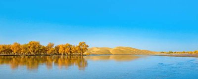 ​额济纳自助游攻略 去内蒙额济纳的最佳线路