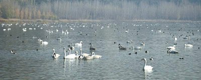 ​运城旅游攻略 山西运城旅游景点大全