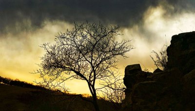 ​黄花沟旅游景区几月去最好 黄花沟最佳旅游时间