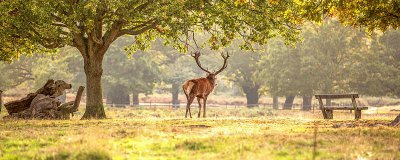 ​英国旅游攻略 英国伦敦旅游景点