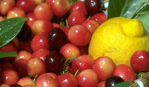 怀孕三个月可以同房吗 怀孕3个月注意事项