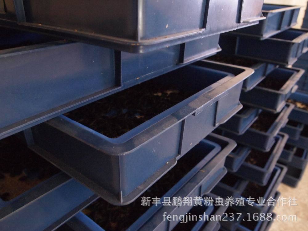 我是农村的，打算在家办厂，投资两万元左右，有什么好项目呢？