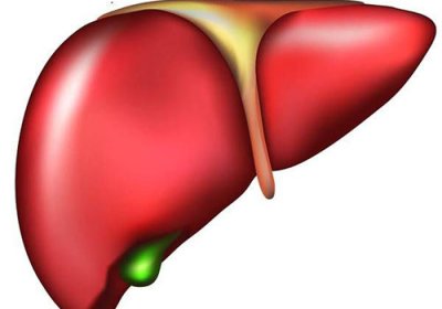 ​谷丙转氨酶正常值 谷丙转氨酶偏高怎么办