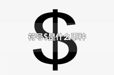 ​符号$是什么币种 符号$的写法