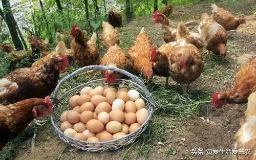 搞什么生意投资小回报高：现在做什么生意投资少赚钱快