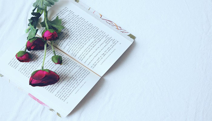 茶壶煮饺子的下一句 茶壶煮饺子的下一句是歇后语是什么