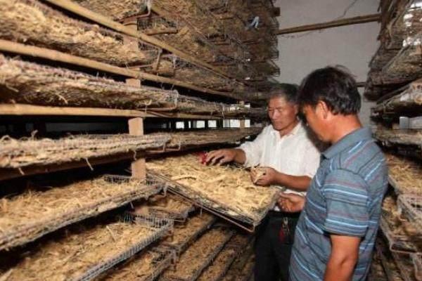 家庭加工厂利润高的项目：我想开个小型加工厂，不知开什么样的加工厂利润高，求高人指点