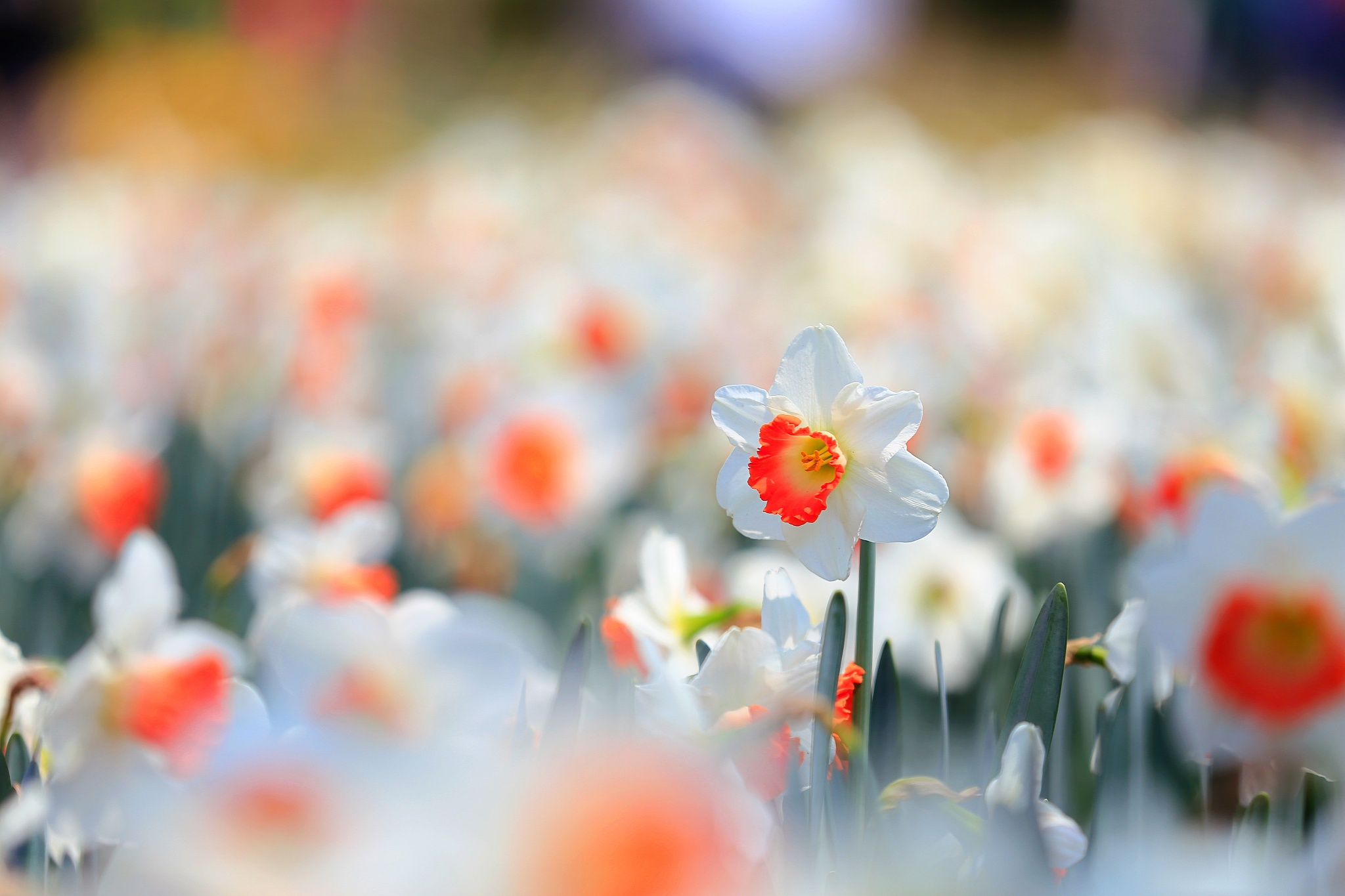 投资小赚钱快的18个创业项目 有没有投资小的创业项目