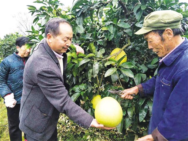 农民发发网致富项目我想在家里做个加工小作坊，不知道选择什么项目好，