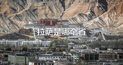 ​拉萨是哪个省 拉萨有什么美食 有些网友可能会好奇拉萨是哪个省?其实拉萨并不是