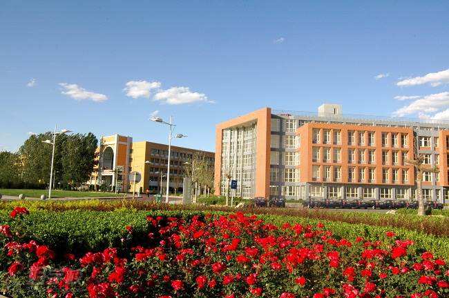 没学历在能干什么：有多少北漂的人？