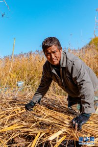 ​现在手艺活哪种最吃香女生，女生学点什么手艺好