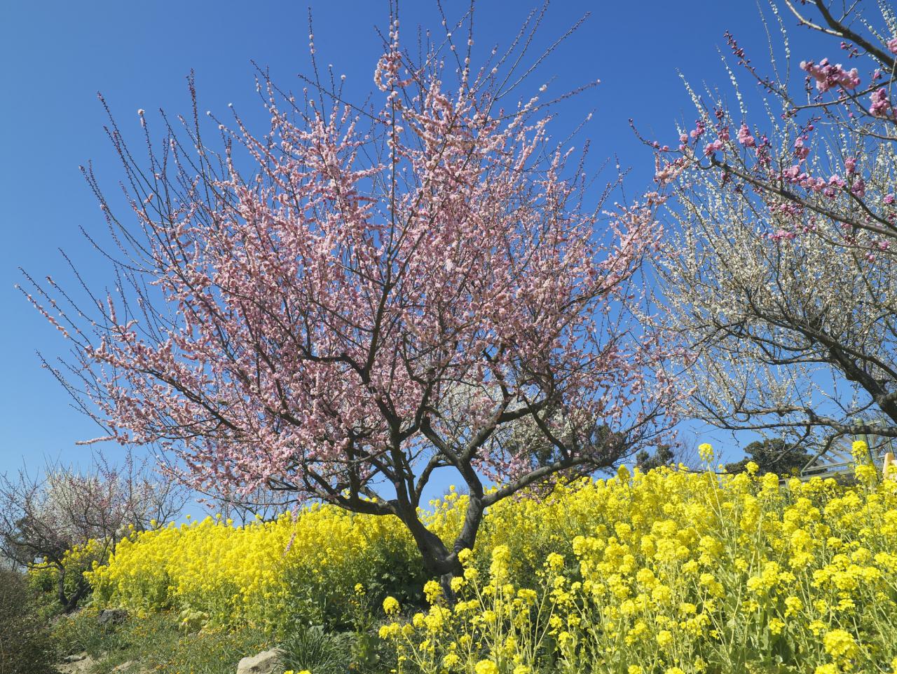 夫妻相克表太准了&nbsp;生肖婚姻相克相冲表