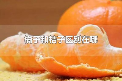 ​橘子和桔子区别在哪 橘子是什么 橘子和桔子区别在哪？橘子和桔子其实是一种东
