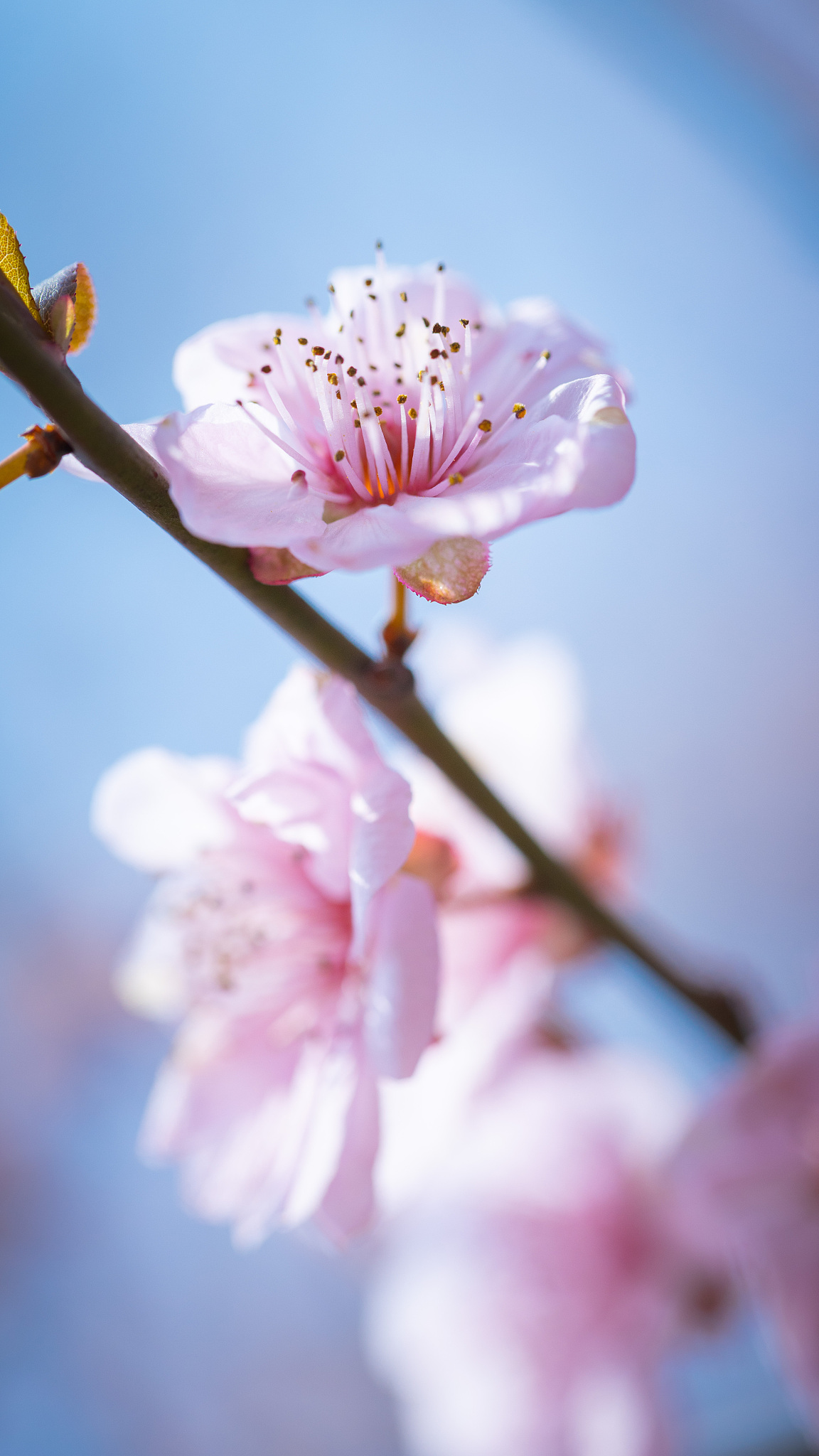 适合一个人开的店   一个人可以干什么兼职