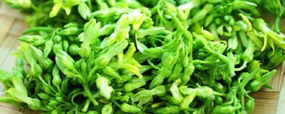 ​夜香花的食用禁忌