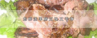 ​怎样洗羊肺又快又干净