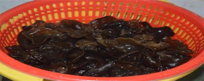 ​木耳不能和什么同吃