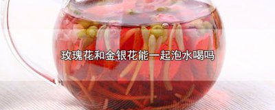 ​玫瑰花和金银花能一起泡水喝吗