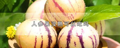 ​人参果没熟可以吃吗