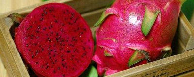 ​火龙果和百香果能一起吃吗