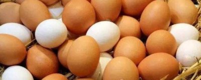 ​鸡蛋外壳发霉了但里面是好的能吃吗