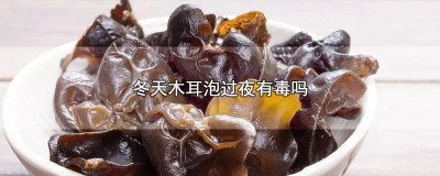 ​冬天木耳泡过夜有毒吗