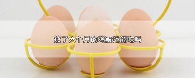 ​放了六个月的鸡蛋还能吃吗