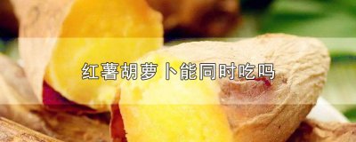 ​红薯胡萝卜能同时吃吗