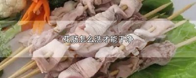 ​花肠怎么洗才能干净