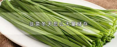 ​韭菜冬天怎么大量储存