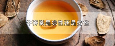 ​牛蒡茶是凉性还是热性