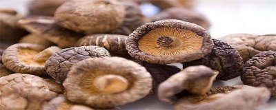 ​香菇泡多久就不能吃了