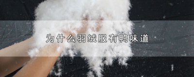 ​为什么羽绒服有鸭味道