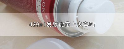 ​420ml发胶能带上火车吗
