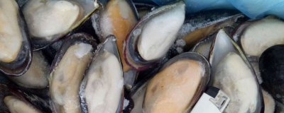 ​蓝口贝怎么清洗